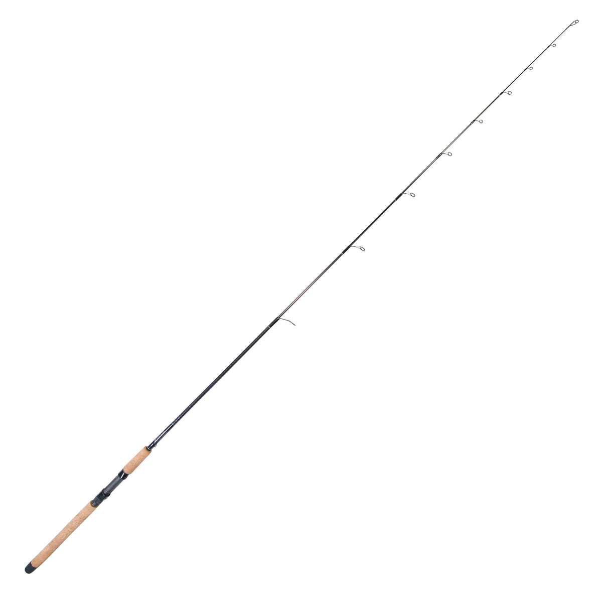 BlacktipH Live Bait Fishing Rod with Winthrop Epic Butt and Carbon Fiber  Wrap