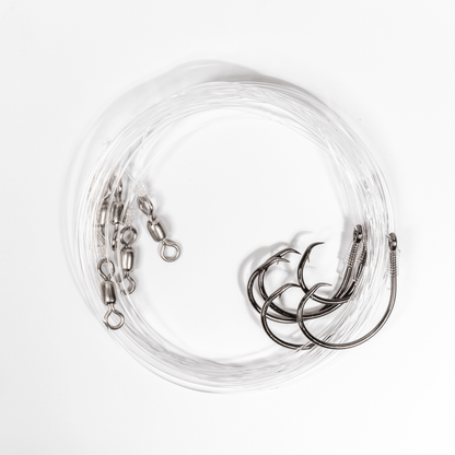 BlacktipH Small Live Bait Rigs (5 Pack) | 30lb Fluorocarbon & 5/0 Circle Hooks - BlacktipH