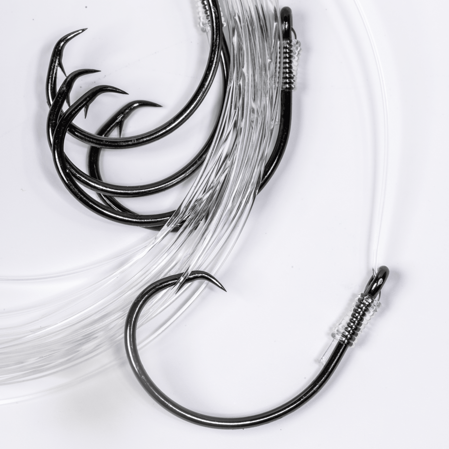 BlacktipH Small Live Bait Rigs (5 Pack) | 30lb Fluorocarbon & 5/0 Circle Hooks - BlacktipH