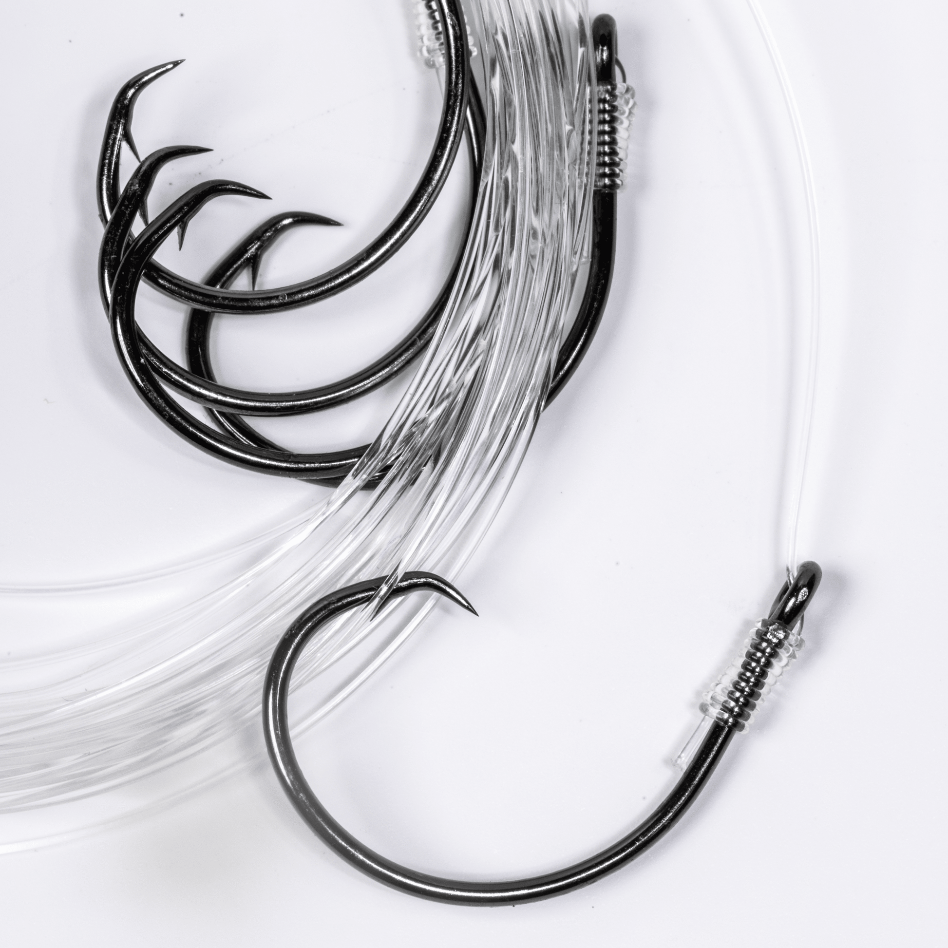 BlacktipH Small Live Bait Rigs (5 Pack) | 30lb Fluorocarbon & 5/0 Circle Hooks - BlacktipH