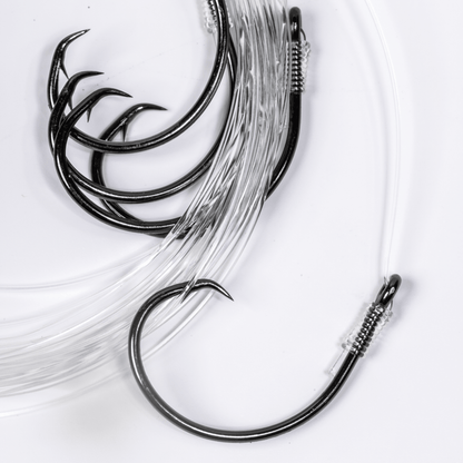 BlacktipH Small Live Bait Rigs (5 Pack) | 30lb Fluorocarbon & 5/0 Circle Hooks - BlacktipH
