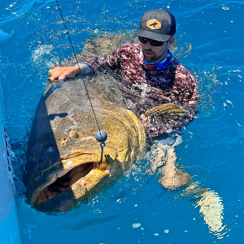 Josh Jorgensen in the water with a monster Goliath Grouper caught on a BlacktipH Fishing Charter