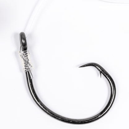 Large Live Bait Rigs (5 Pack) | BlacktipH x Mustad 10/0 Hooks - BlacktipH