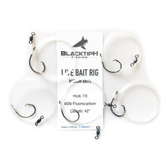 BlacktipH Live Bait Rigs with 10/0 Black Nickel Circle Hook and Premium Rosco Swivel - Large 5 Pack