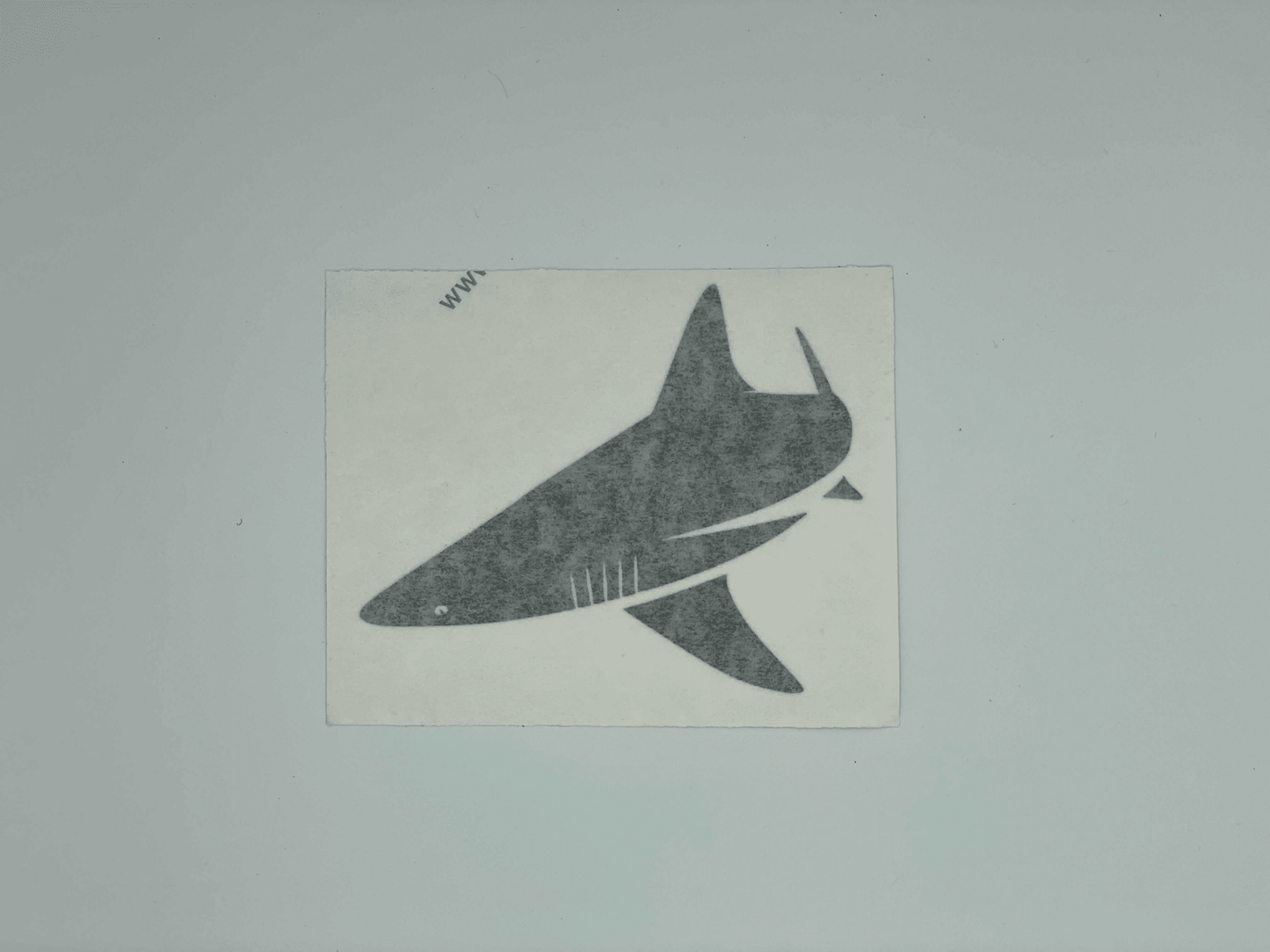 BlacktipH Die Cut Decals - 3 Pack - BlacktipH