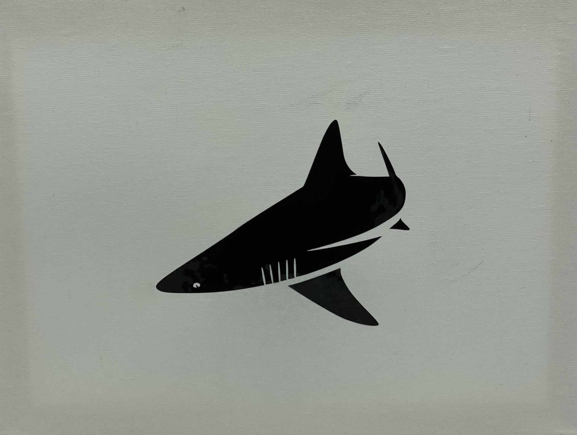 BlacktipH Die Cut Decals - 3 Pack - BlacktipH