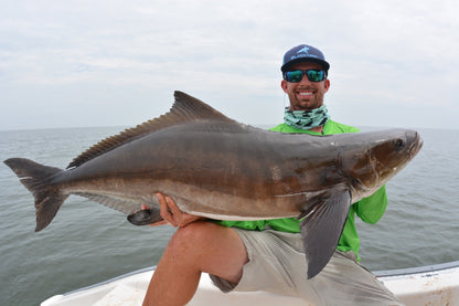 BlacktipH Small Live Bait Rigs (5 Pack) | 30lb Fluorocarbon & 5/0 Circle Hooks - BlacktipH